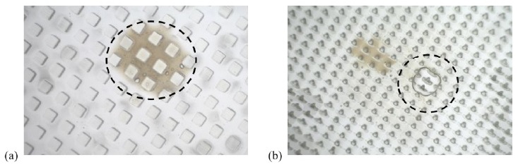 Figure 1. Trapped liquid stain within the artificial surfaces, marked by black dash circles.